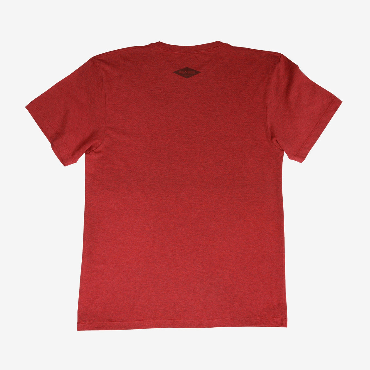 backyard-t-shirt-l1 Shirt_Mtn_Back.jpg