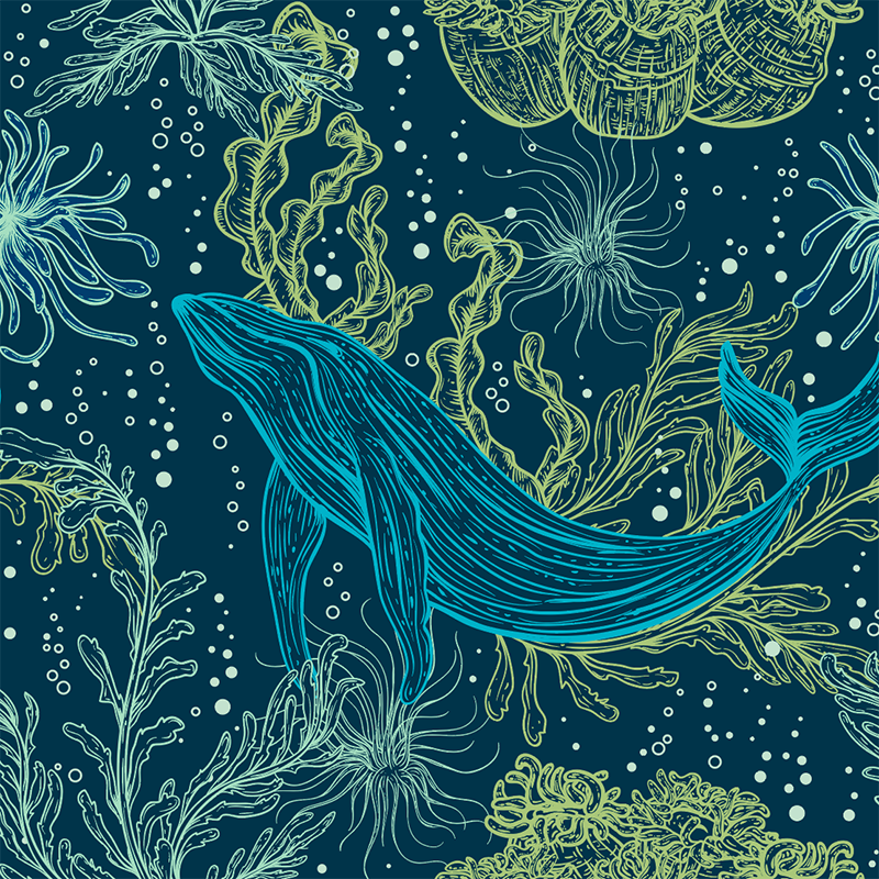 20oz-tkwide-with-twist-cap-ocean-day-g2 20oz_tkwide_bottle_seasonal_ocean_day_blue_whale_artwork_square.png