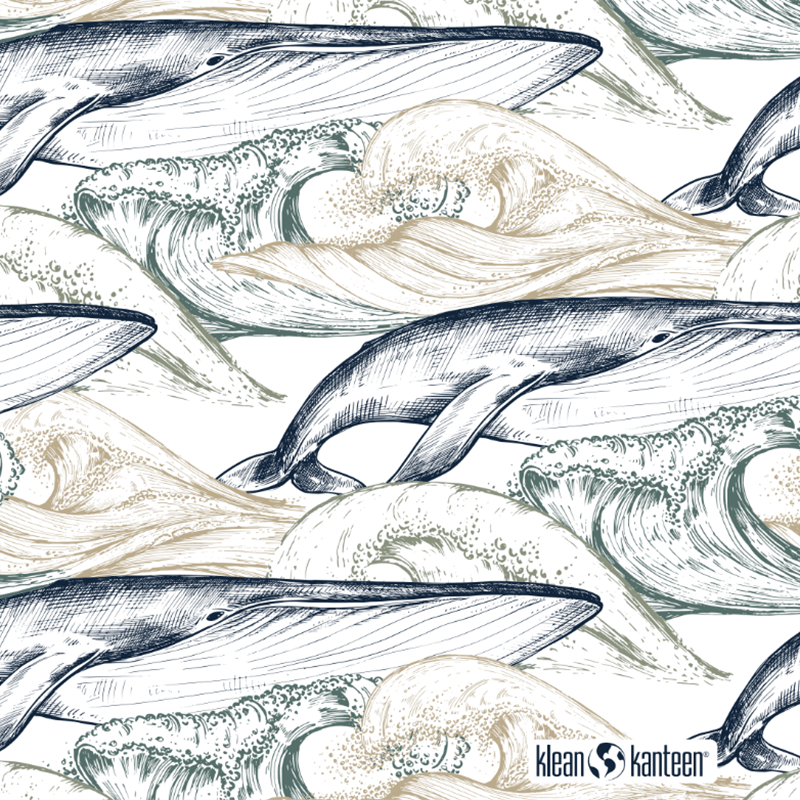 20oz-tkwide-with-twist-cap-ocean-day-g2 20oz_tkwide_bottle_seasonal_ocean_day_whale_artwork_square.png