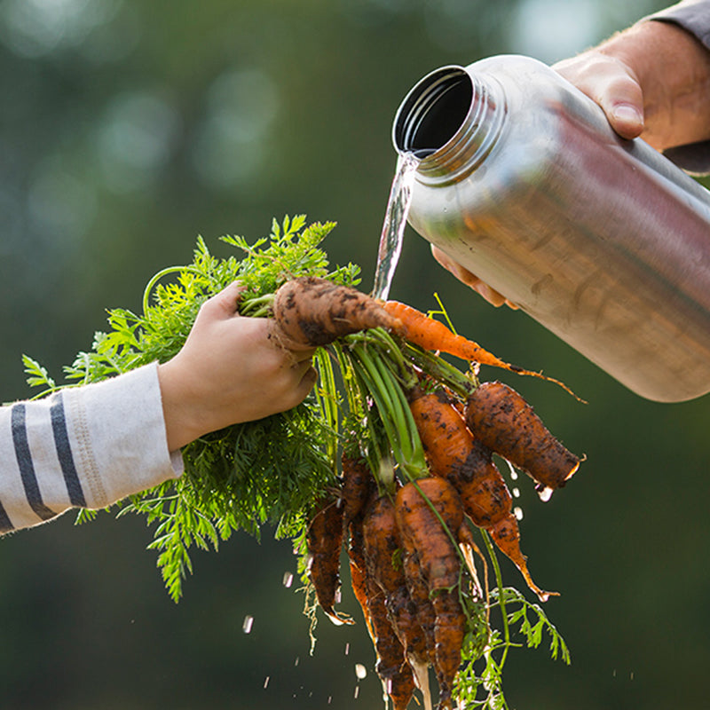 64oz-wide-with-loop-cap-q4 64oz_wide_mouth_bottle_carrots_rinse_square.jpg